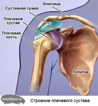 ніж лікувати бурсит плечового суглоба