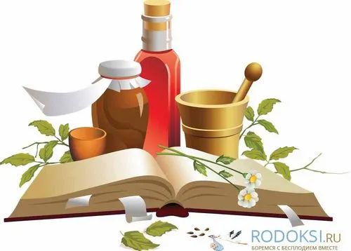 борова матка застосування лікування ендометріоз