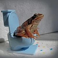 причина