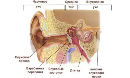 як лікувати отит і гайморит
