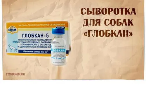 як лікувати легеневу чуму