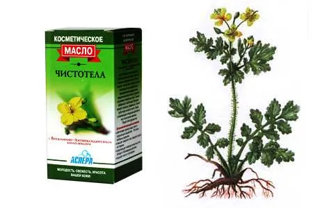 папіломи