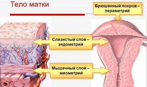 як лікувати хворобу ендометріоз
