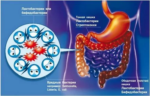 як лікувати дисбактеріоз у чоловіків