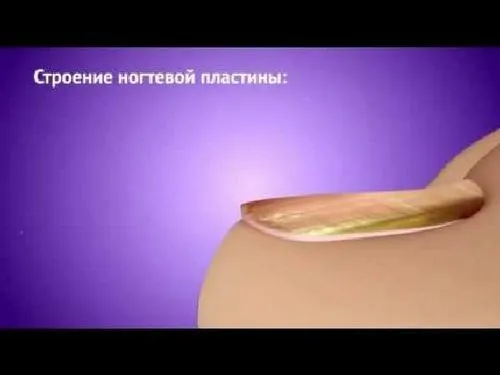 Екзодерил від грибка нігтів - інструкція із застосування, основні характеристики, свідчення, переваги екзодеріл грибок нігті інструкція застосування характеристики переваги