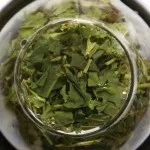 як лікувати псоріаз грибом веселка