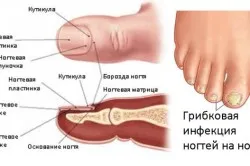 здорові стопи