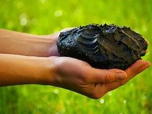 як лікувати суглоби брудом