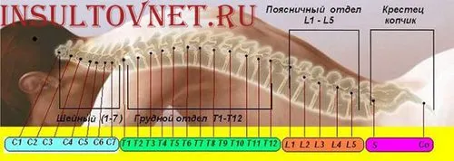 як лікувати спинальний інсульт