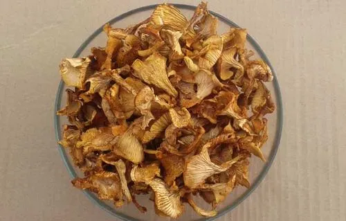 як лікувати печінку лисичками