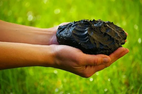 як лікувати суглоби брудом
