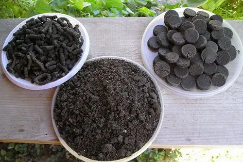 як лікувати суглоби брудом