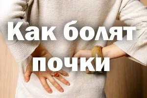 як лікувати нирки у жінок