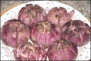 будь здоровим