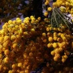 як вилікуватися від весняної депресії