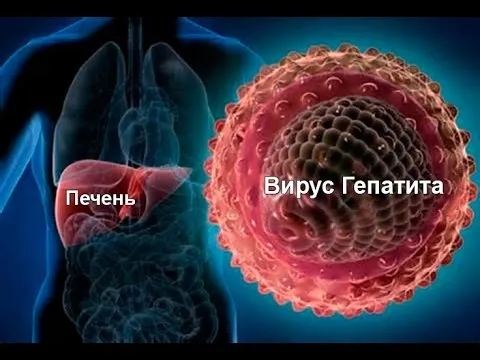 як лікувати печінку гепатит з