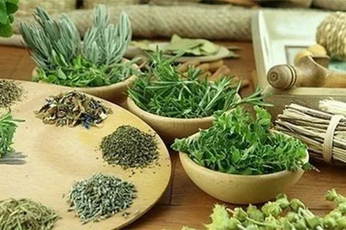 лікування інсульту народними засобами