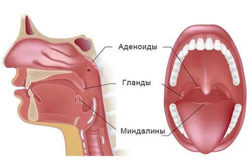 лікування мокротиння в горлі як позбутися без кашлю у дитини не проходить