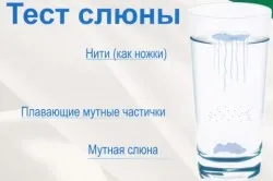 все про грибку