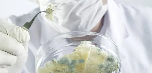 як лікувати молочницю шлунка