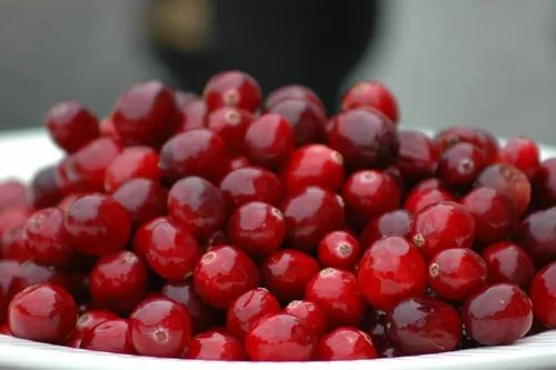 як лікувати нирки журавлиною