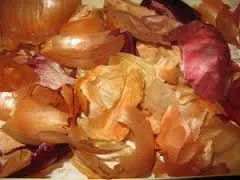 цибуля