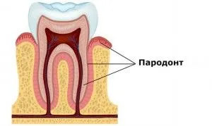 як лікувати ясна народна медицина