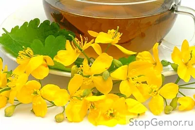 лікування геморою чистотілом
