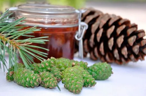 як лікувати інсульт ялиновими шишками