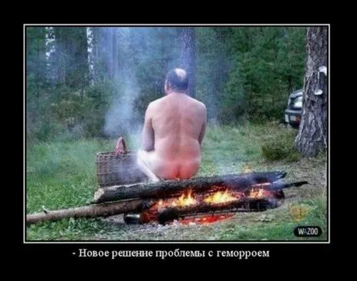 як лікувати геморой капустою