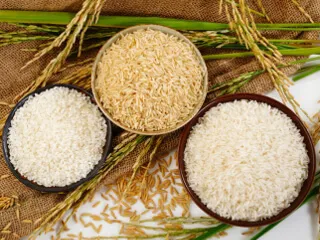 лікування рис остеохондроз