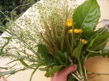 як лікувати рефлюкс гастрит народними засобами