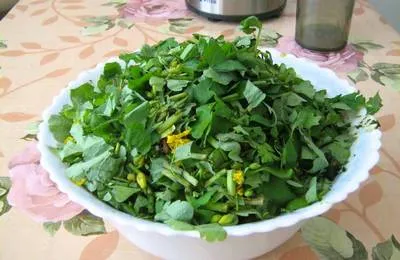 як лікувати печінку чистотілом