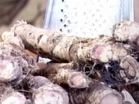 як лікувати печінку хріном