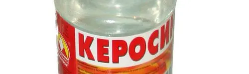 Тодикамп