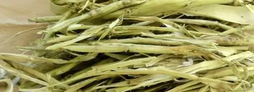 як лікувати лямбліоз у дітей народними засобами