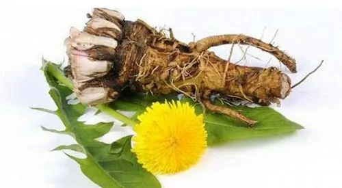 як лікувати лямбліоз у дітей народними засобами