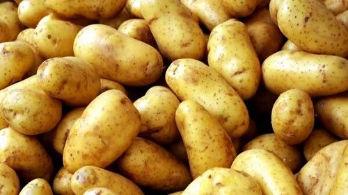 як лікувати остеохондроз грудного відділу народними засобами
