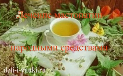 мед