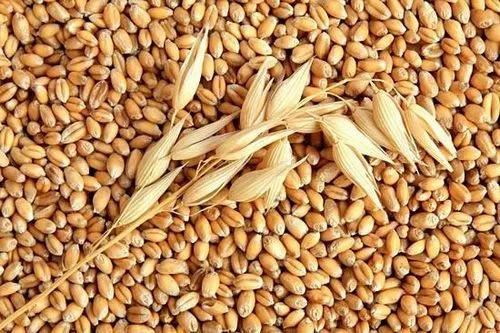 лікування ліпоми народними засобами