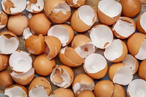 як лікувати остеопороз кісток народними засобами