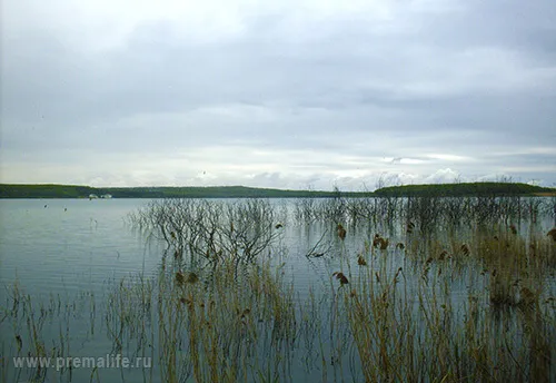 як лікувати псоріаз брудом