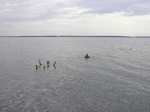 як лікувати псоріаз брудом