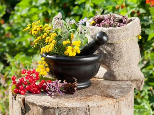 як лікувати кісту молочної залози народними засобами