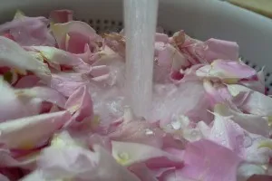 як лікувати афтознийстоматит народними засобами