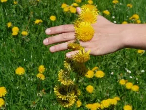 як лікувати судини шиї і голови
