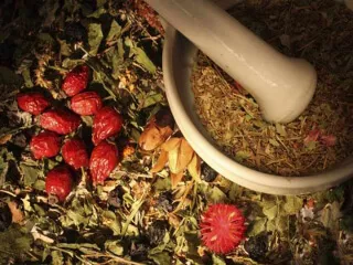 як лікувати уреаплазму