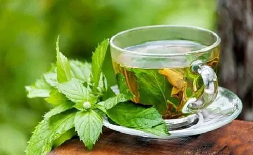 як лікувати нирки і сечовий