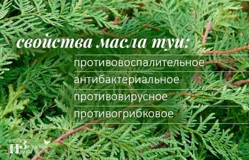 як лікувати аденоїди маслом туї