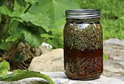 як лікувати судини травами